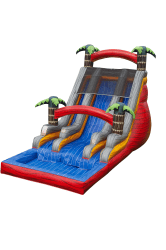Amazon Palm Double Lane 20ft