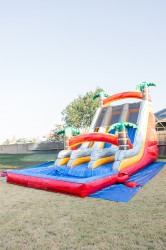 20ft tropical inflatable water slide rental san antonio side 17556 1 Amazon Palm Double Lane 20ft
